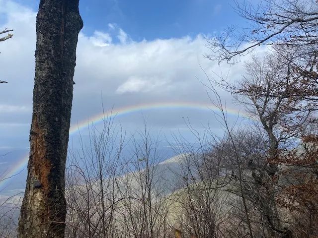 whileiwalkbook's tweet photo. “How wild it was, to let it be.”

― Cheryl Strayed, Wild: From Lost to Found on the Pacific Crest Trail

#HikingLovers #Hiking #Wild https://t.co/QEzzjqivI7