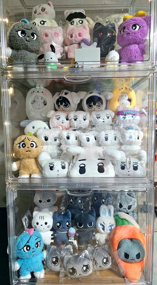 bemyae201117's tweet photo. 아이뇽들 보금자리 도착 ๑>ᴗ<๑ 
앞으로 같이 에스파 응원할 인형친구들🥰
#전시회 ⁦#에스파 #카리나 #지젤 #윈터 #닝닝 #karina #winter #giselle #ningning
#aespa #エスパ #aespa_exhibition 
#2차_MD #2nd_open #2nd_Merchandise https://t.co/TCjqTPt7tp