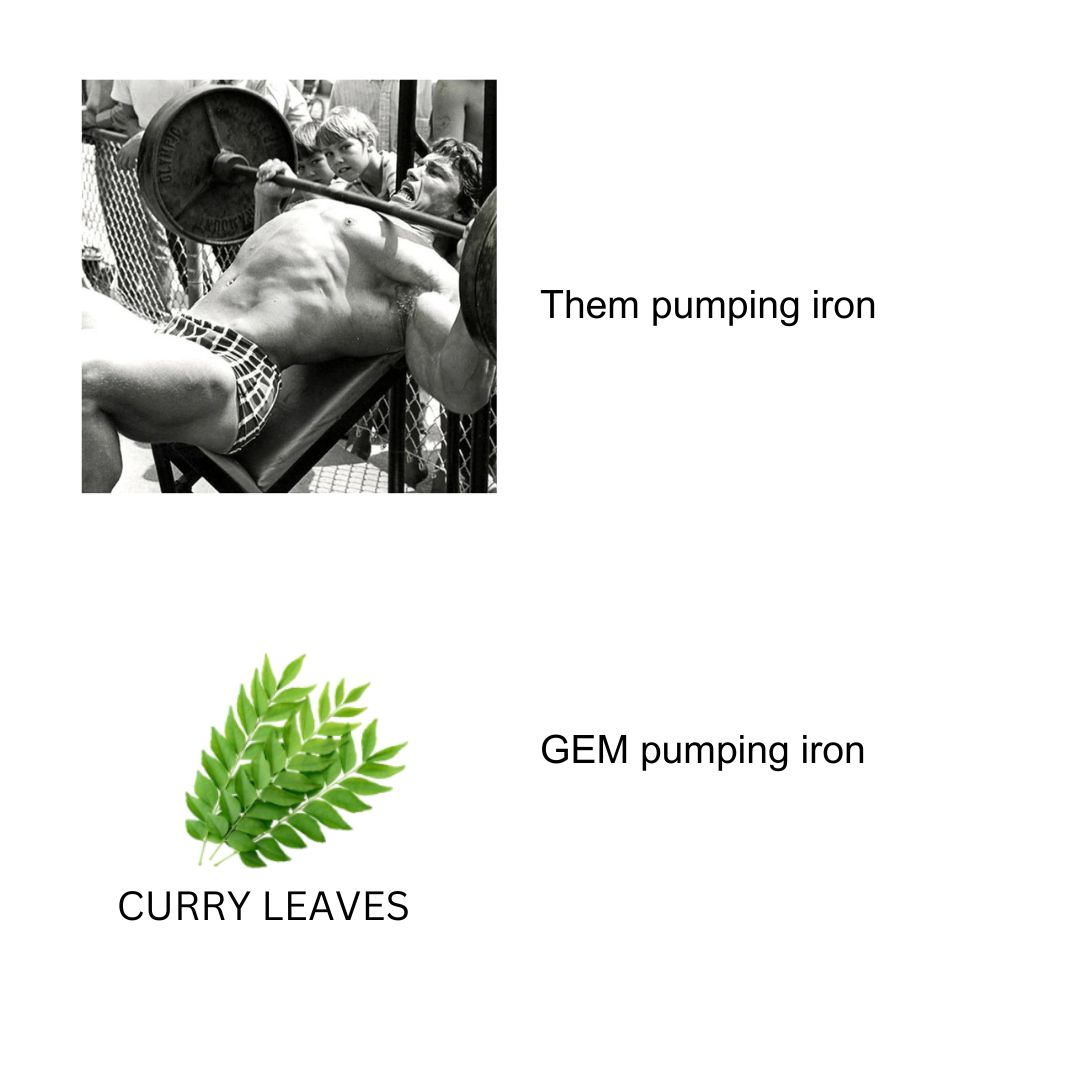 GEM tweet media