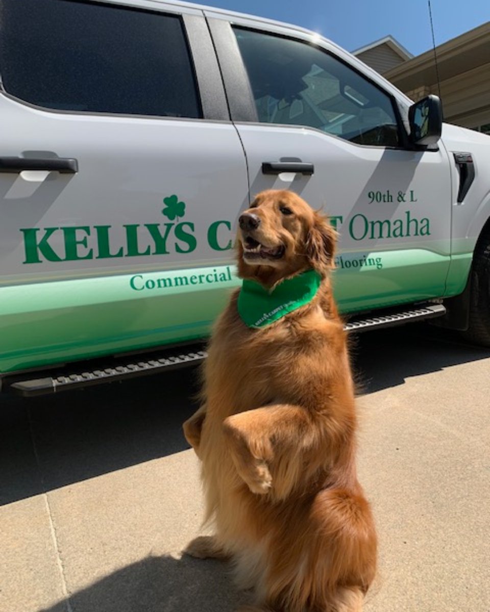 It's official...Kelly's Carpet Omaha has earned a standing ovation from Charlie 🤩