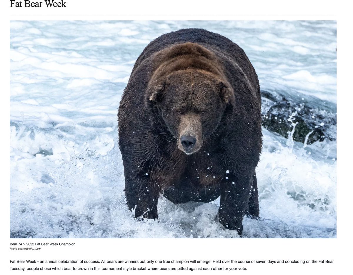 just found out this is a thing thanks to @betsy_klein nps.gov/katm/learn/fat…