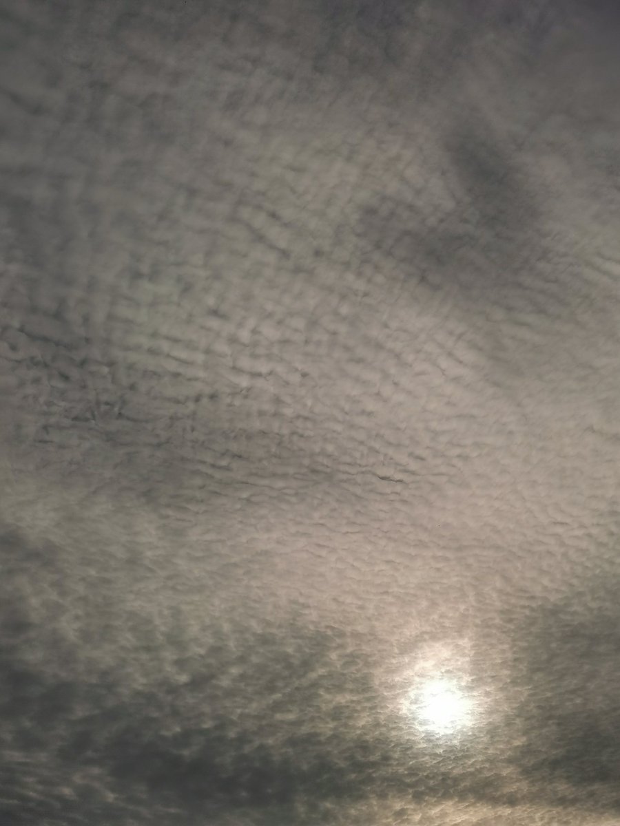 PANIEK #chemtrails #GeoEngineering #flatearth
En voor alle anderen, mooie luchten die lijken op een aanstaande weersverrandering,