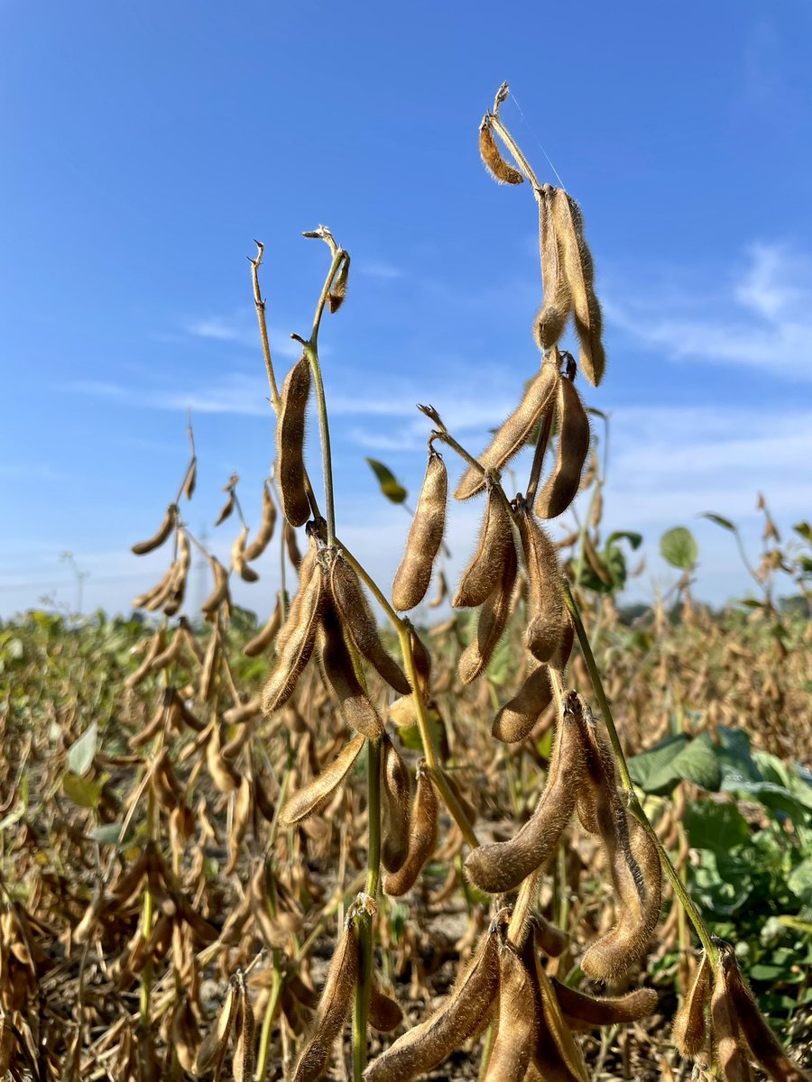 Md. Mamunur Rashid tweet media