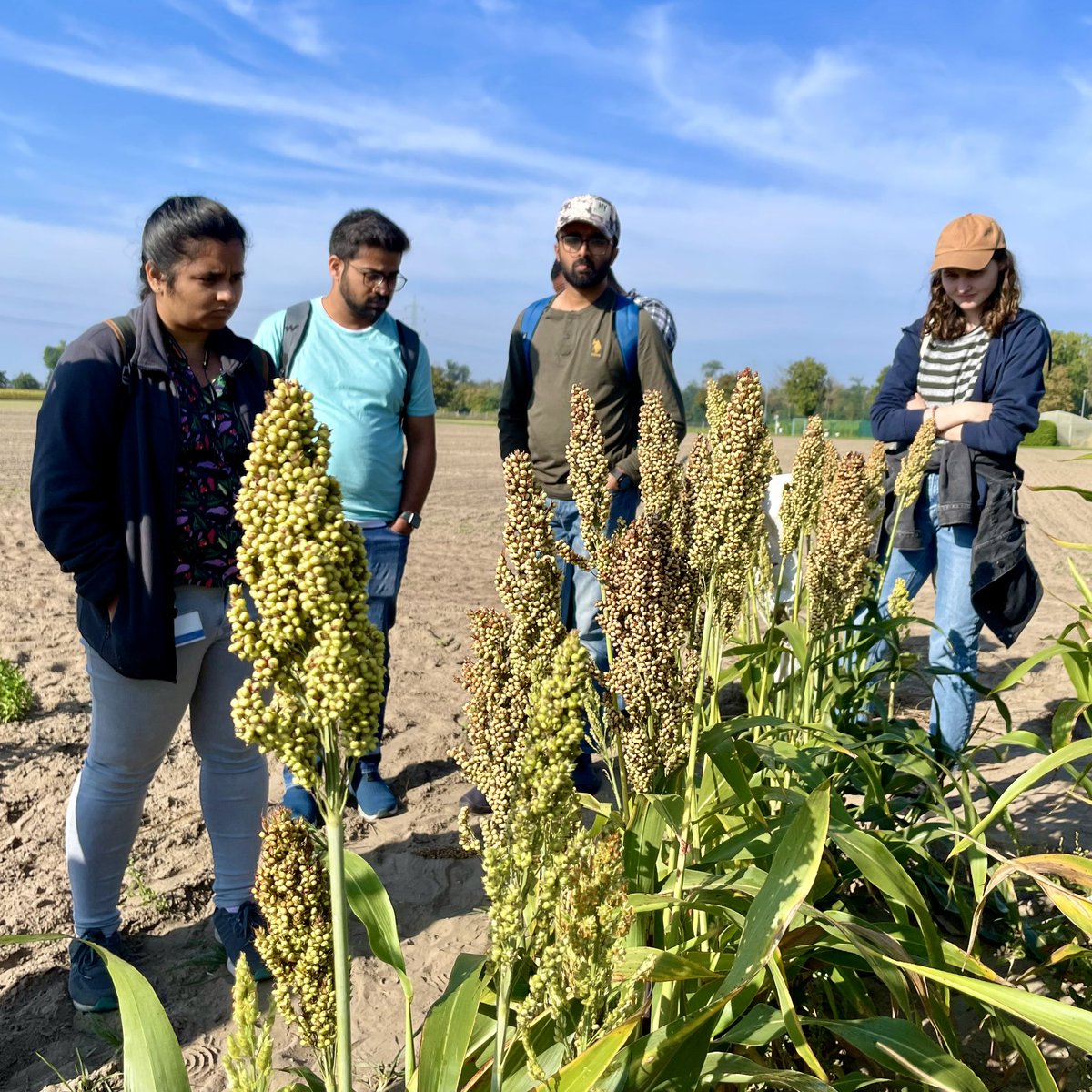 Md. Mamunur Rashid tweet media