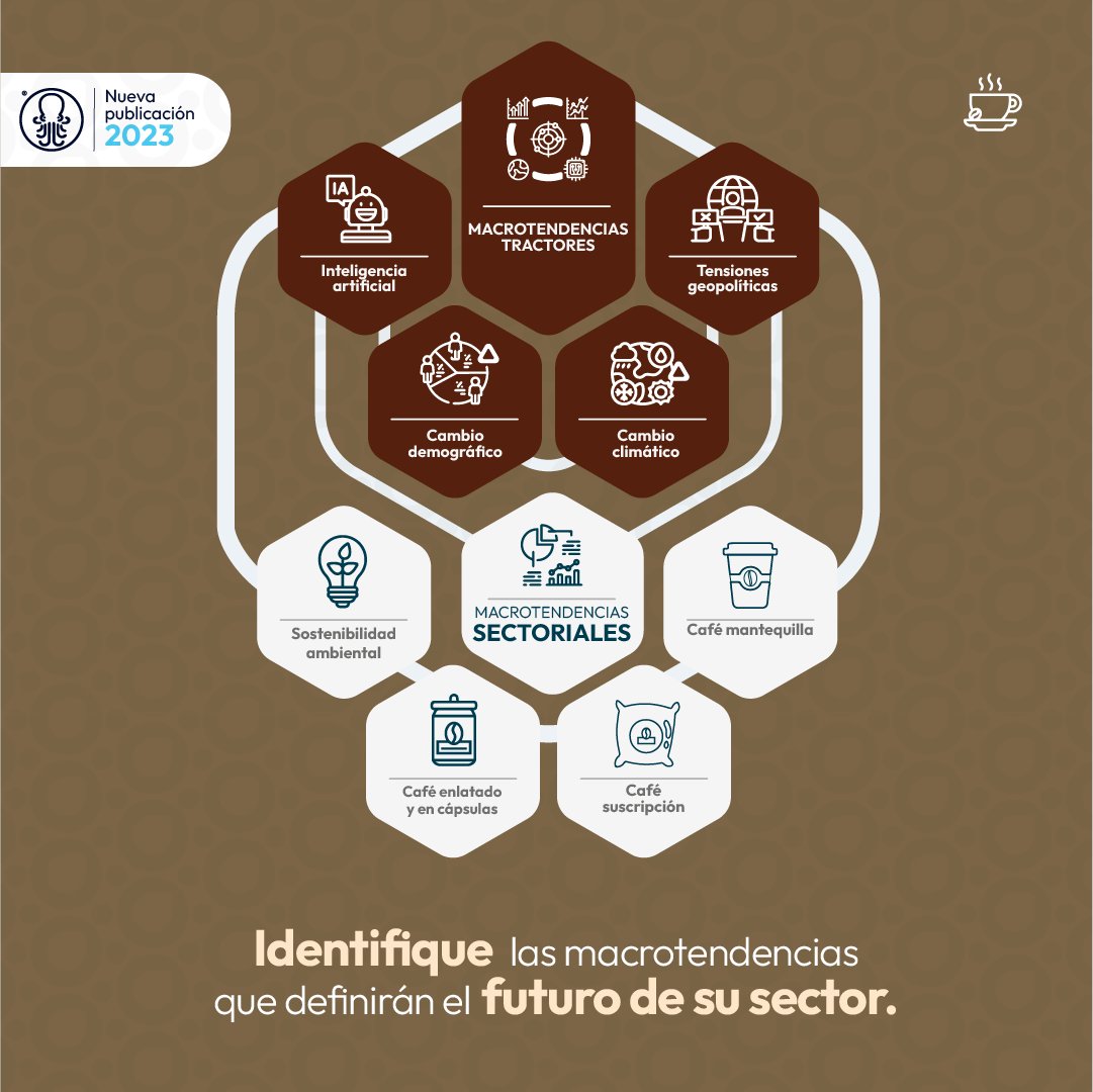 CDT Octopus Force tweet media