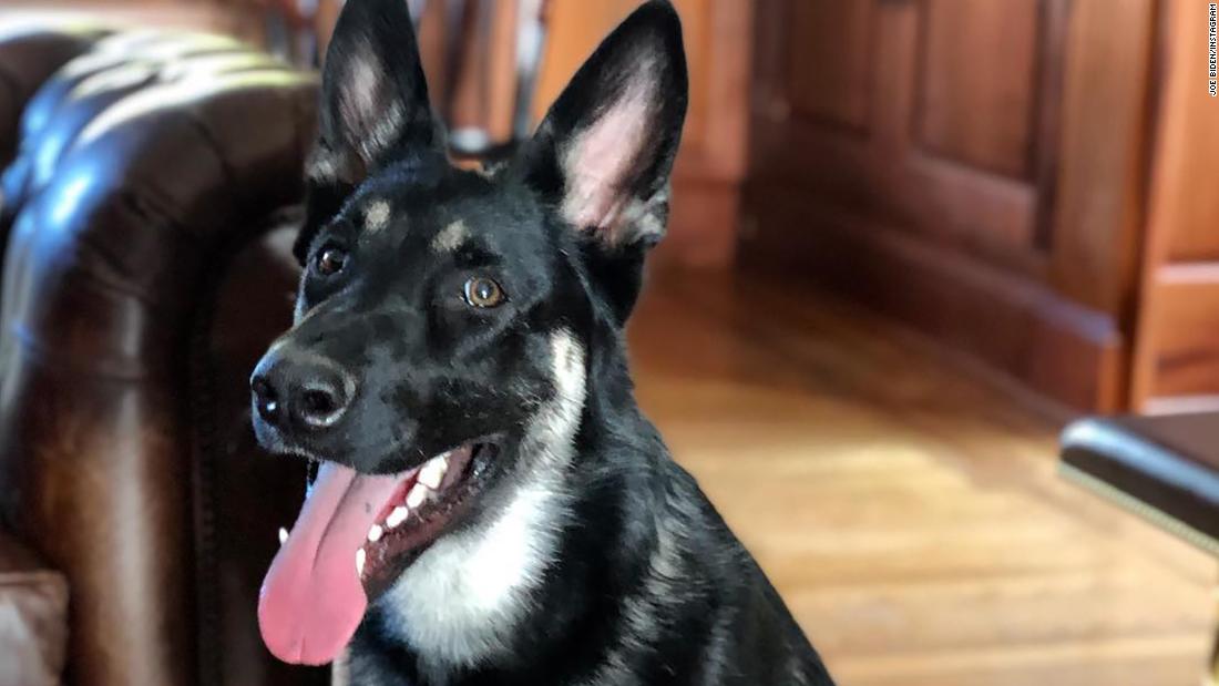 Jason_Matthews's tweet image. Guess who didn't delete all their Jan 6 texts? Hint: not the Secret Service. I stand with Major Biden and Commander Biden #dogsknow