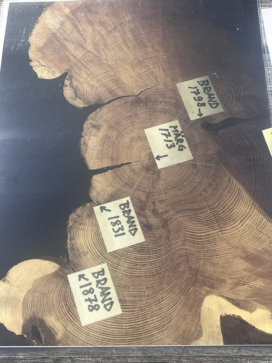 LabIF_UCO's tweet photo. ¿Tiene Suecia problemas de incendios forestales?
Hoy nos encontramos observando la evolución de la vegetación por estas latitudes, en el marco del proyecto @FirEUrisk https://t.co/Nygs67eUNH