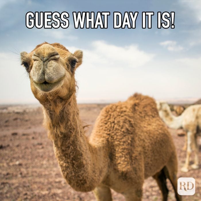 EricKarlene's tweet photo. It's been a good day today! Have a happy Wednesday! #HumpDay https://t.co/WozSWWzIi6