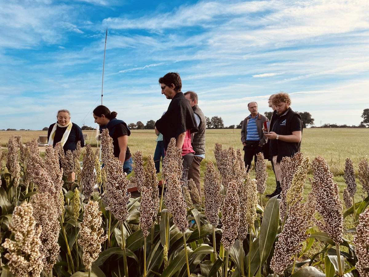 dupire_olivier's tweet image. Immersion dans la #Vienne avec le Groupe Technique National #INOSYS ovins viande 🐑 
Passage à la 🔎 des systèmes ovins-cultures : autonomie alimentaire ☘️, économie &amp;amp; organisation du travail 
Merci aux éleveurs partenaires 🤗
