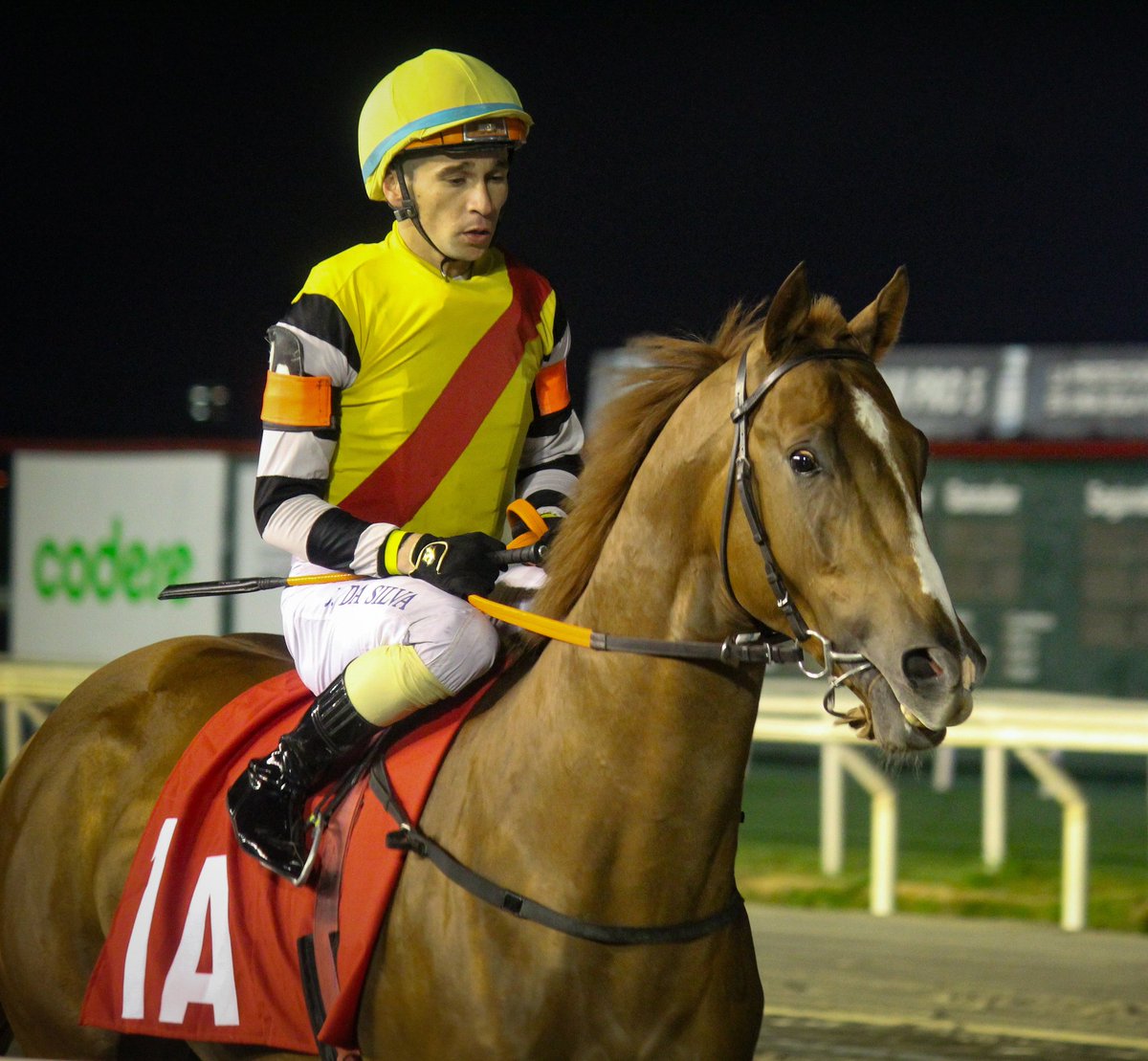 turf_uruguayo's tweet photo. #RockWalk
El defensor del prestigioso Std & Hrs Phillipson será quien cargue con el favoritismo de la mayoria de la prensa y el público apostador este domingo en el GP Jockey Club.
En lote reducido pero calidoso intentara ir por la segunda gema de la Triple Corona Maroñense. https://t.co/2vZbbiKYXA