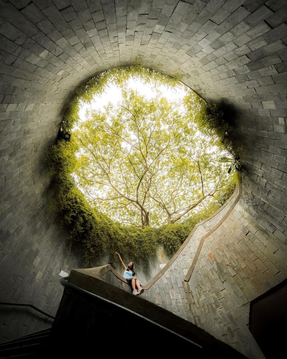 Discovering the Fort Canning Tree Tunnel in Singapore

📸: Instagram/llittlepig

#fortcanning #fortcanningtreetunnel #singapore #singapura #thediscoverer #instatravel #traveling #travelling #traveler #traveltheworld #travels #traveladdict