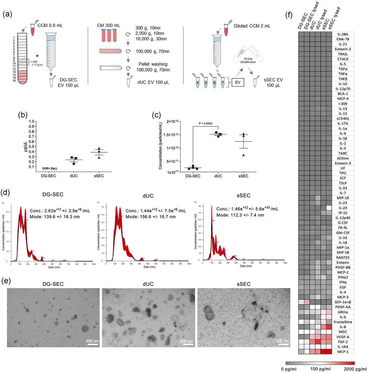 ISEV-Journals (@isev_journals) on Twitter photo 🪇Read in #JEV🪇These data from <a href="/AnHendrix2/">An Hendrix</a>'s lab demonstrate that EV preparation methods show method-dependent off-target enrichment of soluble cytokines which have implications for the study of #EV immunomodulatory bioactivity and warrants careful consideration. 🪇Read in #JEV🪇These data from <a href="/AnHendrix2/">An Hendrix</a>'s lab demonstrate that EV preparation methods show method-dependent off-target enrichment of soluble cytokines which have implications for the study of #EV immunomodulatory bioactivity and warrants careful consideration.