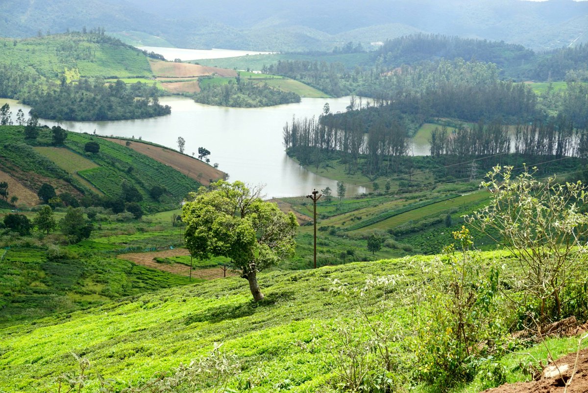 Maithili__'s tweet photo. Drop a picture of a tourist place from your city from your gallery. 

#WorldTourismDay
#cameraphotography 
#Ooty
#AvalancheLake https://t.co/NEBxZWcn7g