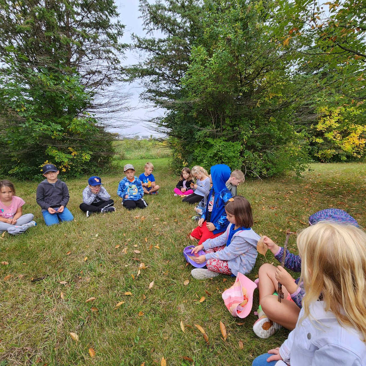 DegroodMegan's tweet photo. Wilderness Wednesday 🌳 Morning Meeting 
#talkingstick #fallcolors #leafcollection #categorizing #usingourwords #SEL #NBK https://t.co/BpIJOLWMBp
