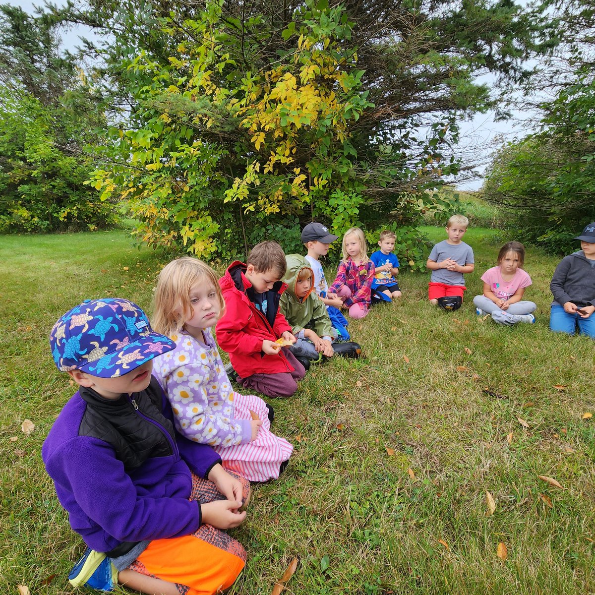 DegroodMegan's tweet photo. Wilderness Wednesday 🌳 Morning Meeting 
#talkingstick #fallcolors #leafcollection #categorizing #usingourwords #SEL #NBK https://t.co/BpIJOLWMBp