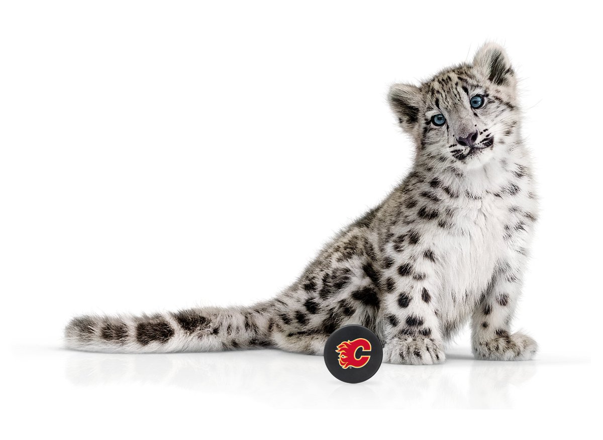 punkrawkstar's tweet photo. Hockey season is back! @TELUS is a proud partner of the Calgary Flames and we'll be cheering them on all season long 🔥🏒 #TeamTELUS https://t.co/tyO2At2pMx