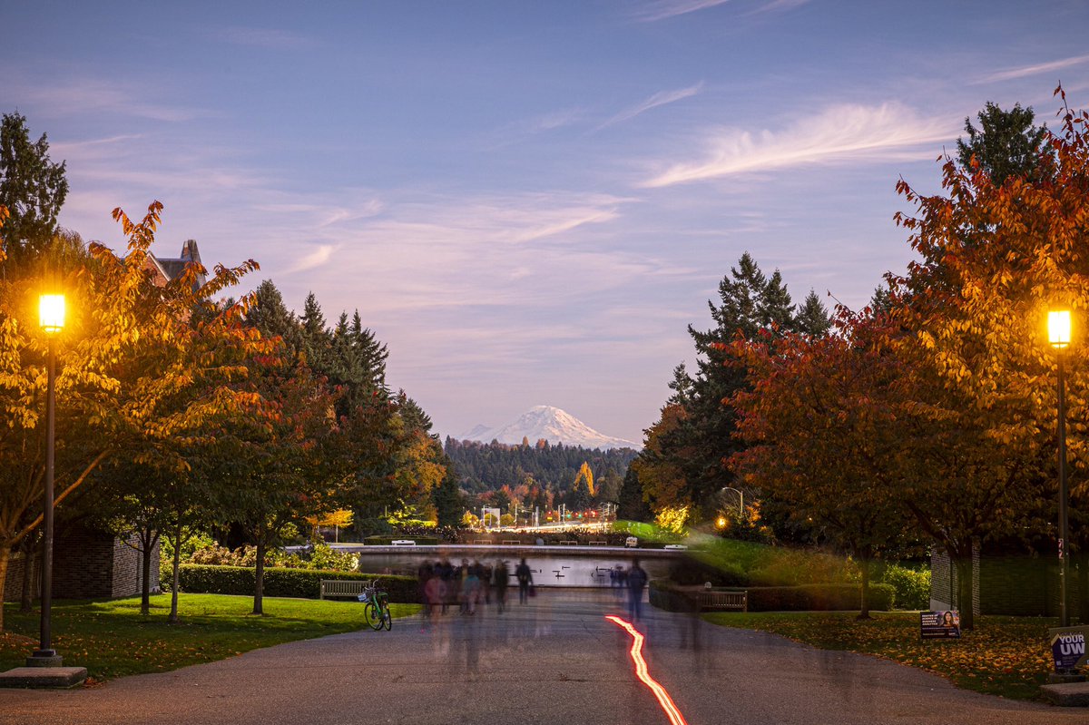 Washington Athletics tweet media