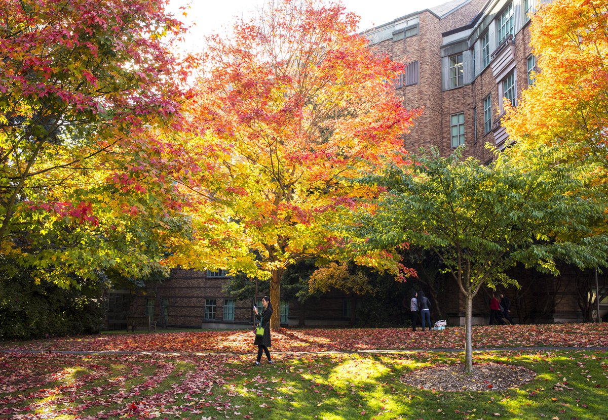 Washington Athletics tweet media