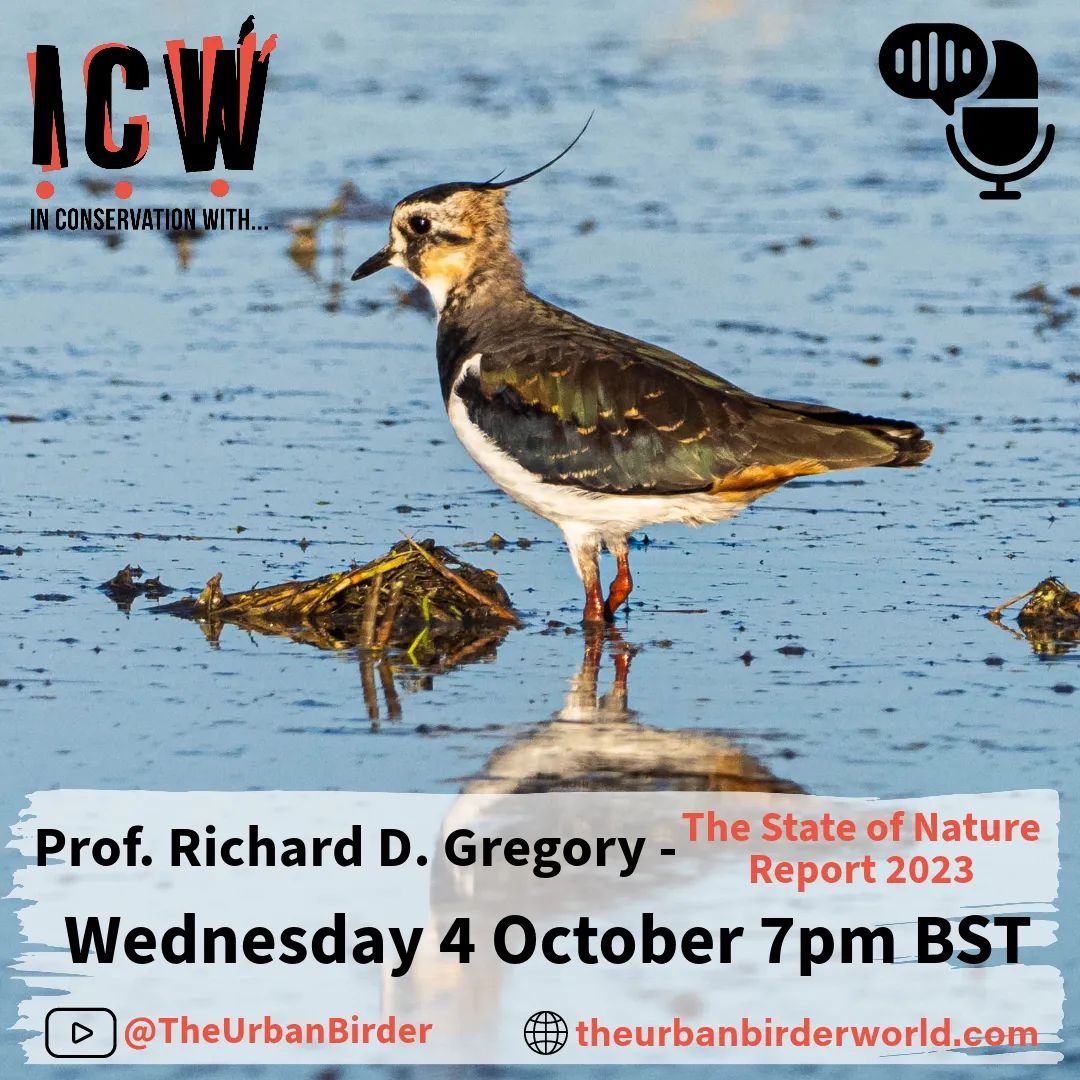 Discover the Current Condition of UK's Natural Environment with Prof. Richard D. Gregory! Join us LIVE for an engaging discussion on The State of Nature Report 2023. 🌱 Wednesday, October 4th, 7 pm BST. Secure your free spot to watch the live event buff.ly/3Rmlqsz