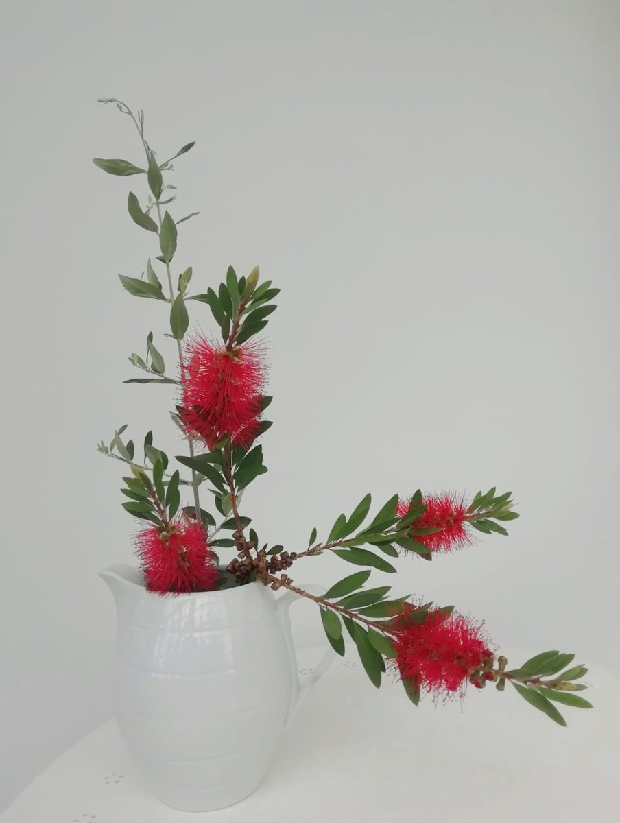 Roteiro literario polas  casas de escritores quirogueses, Ánxel Fole, Manuel María, Eduardo Moreiras , Ernesto Guerra da Cal, Pura e Dora Vázquez.🚶🏻‍♀️👩‍🦯

Ikebana de María Xesús