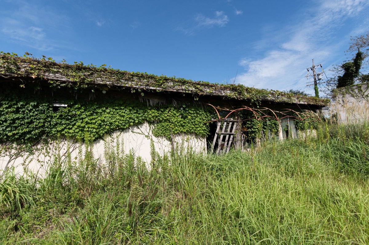 昭和の廃喫茶店
廃業した状態のまま年月が過ぎ朽ちているようで懐かしさと寂寥感に包まれた
ファンシーで昭和レトロなペンダントライトが印象的だった
近所の方にお聞きしたところ昭和40年代に開店、1985年頃（昭和60年頃）に閉店したとのこと