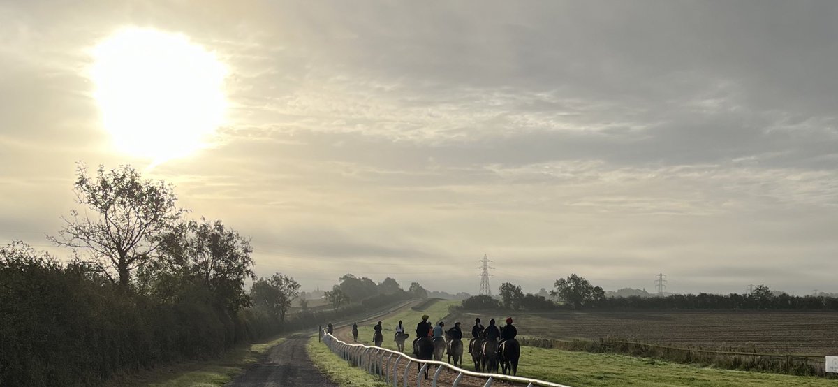 MickApplebyUK's tweet image. A stunning morning on the #gallops