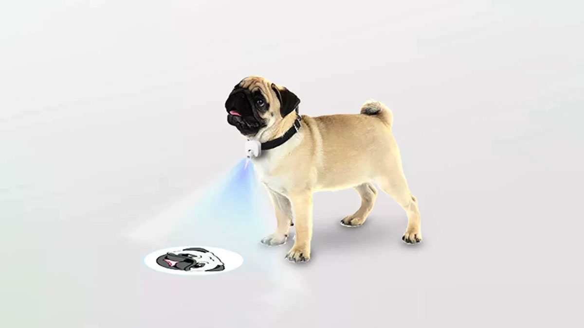 DudeIWantThat.com tweet media