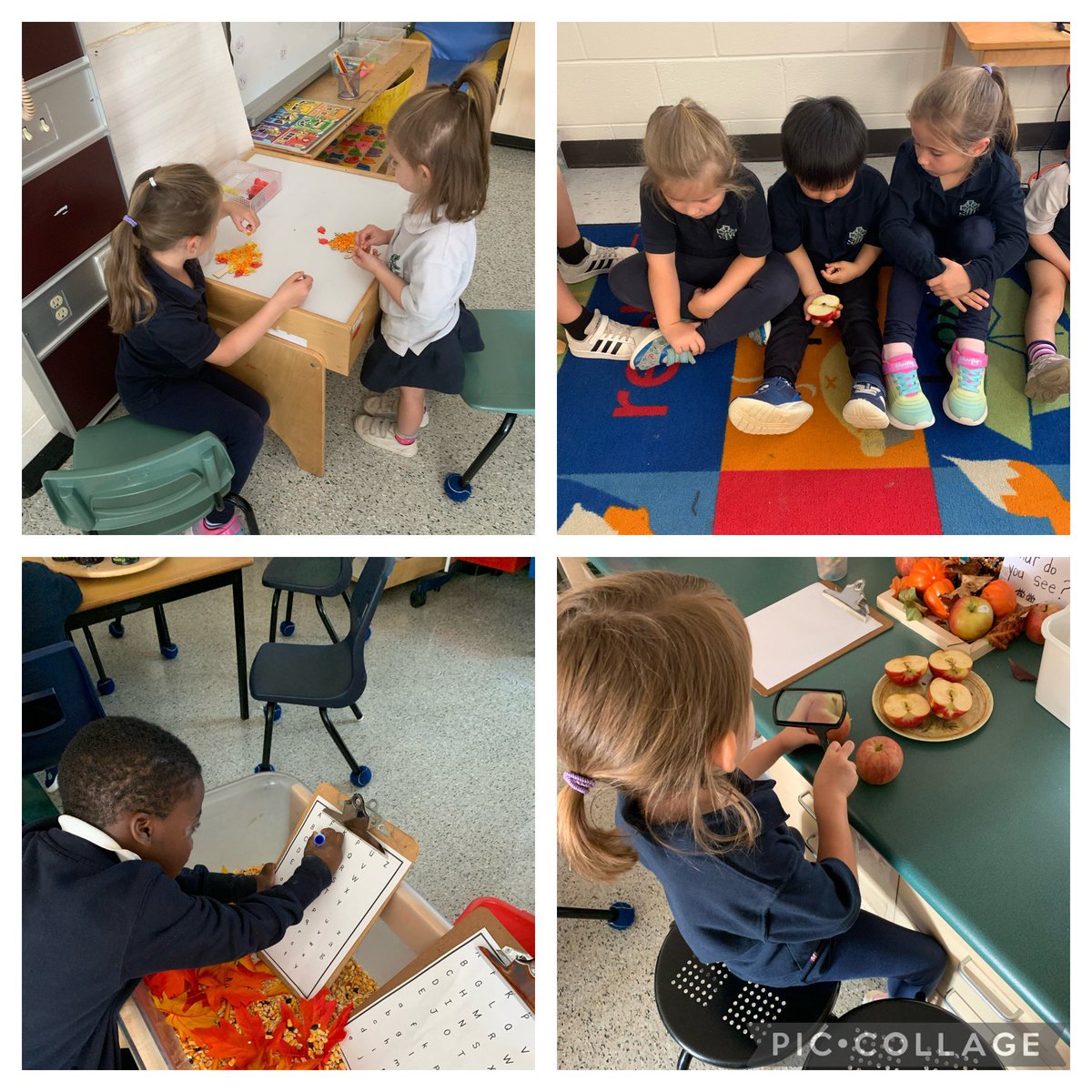 We are investigating leaves, apples and all the changes of Fall. #fallinquiry