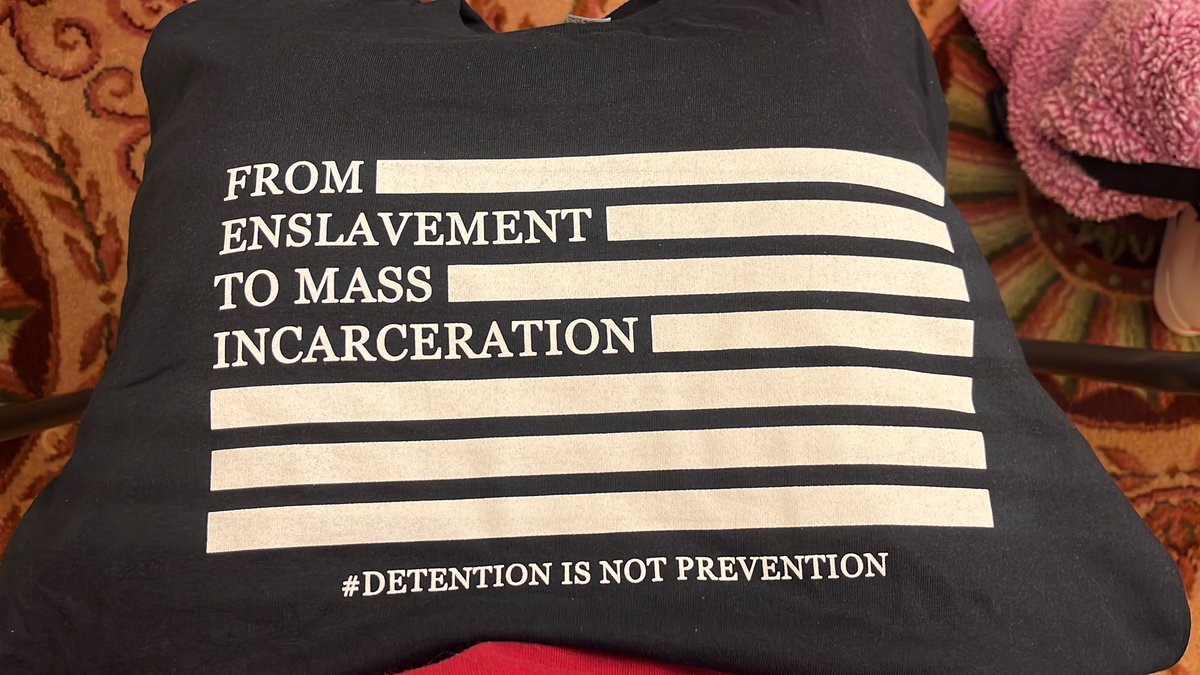 HarrietsDreams's tweet photo. During this meeting Ward 2 Council Member Brooke Pinto expressed the need to more policing, harsher penalties and doubled down on her “Secure DC” plan 

Join us in telling DC Council “Secure DC” is not safe for DC: https://t.co/r5FJWnRmj2 #DetentionIsNotPreventuon https://t.co/CCnoic0gaj