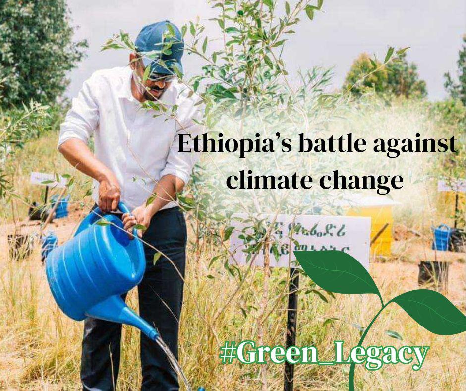 Yusuf Mohammed (@yusufmo79063780) on Twitter photo We are at a time when Ethiopia has changed from begging for wheat to production wheat. Ethiopia is a country that is more than itself #Green_Legacy #500_Million__Saplings <a href="/EUtoAU/">EU Delegation to AU</a> <a href="/Pontifex/">Pope Leo XIV</a> <a href="/PMOIndia/">PMO India</a> <a href="/ChinaEmbAddis/">Chinese Embassy in Ethiopia</a> <a href="/MikeHammerUSA/">Mike Hammer</a> <a href="/Reuters/">Reuters</a> We are at a time when Ethiopia has changed from begging for wheat to production wheat. Ethiopia is a country that is more than itself #Green_Legacy #500_Million__Saplings <a href="/EUtoAU/">EU Delegation to AU</a> <a href="/Pontifex/">Pope Leo XIV</a> <a href="/PMOIndia/">PMO India</a> <a href="/ChinaEmbAddis/">Chinese Embassy in Ethiopia</a> <a href="/MikeHammerUSA/">Mike Hammer</a> <a href="/Reuters/">Reuters</a>