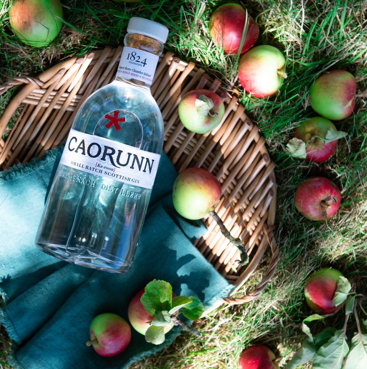 CaorunnGin's tweet image. Deliciously full-bodied, invigorating and crisp 🍎

*We've heard the apples are good too...

It doesn't take a Gin Genius to drink responsibly.

#GinGenius #Caorunn #CaorunnGin #SmallBatchGin