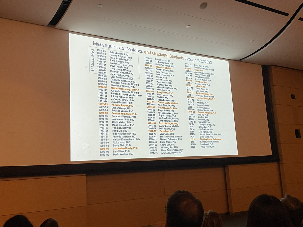 Inês Godet tweet media