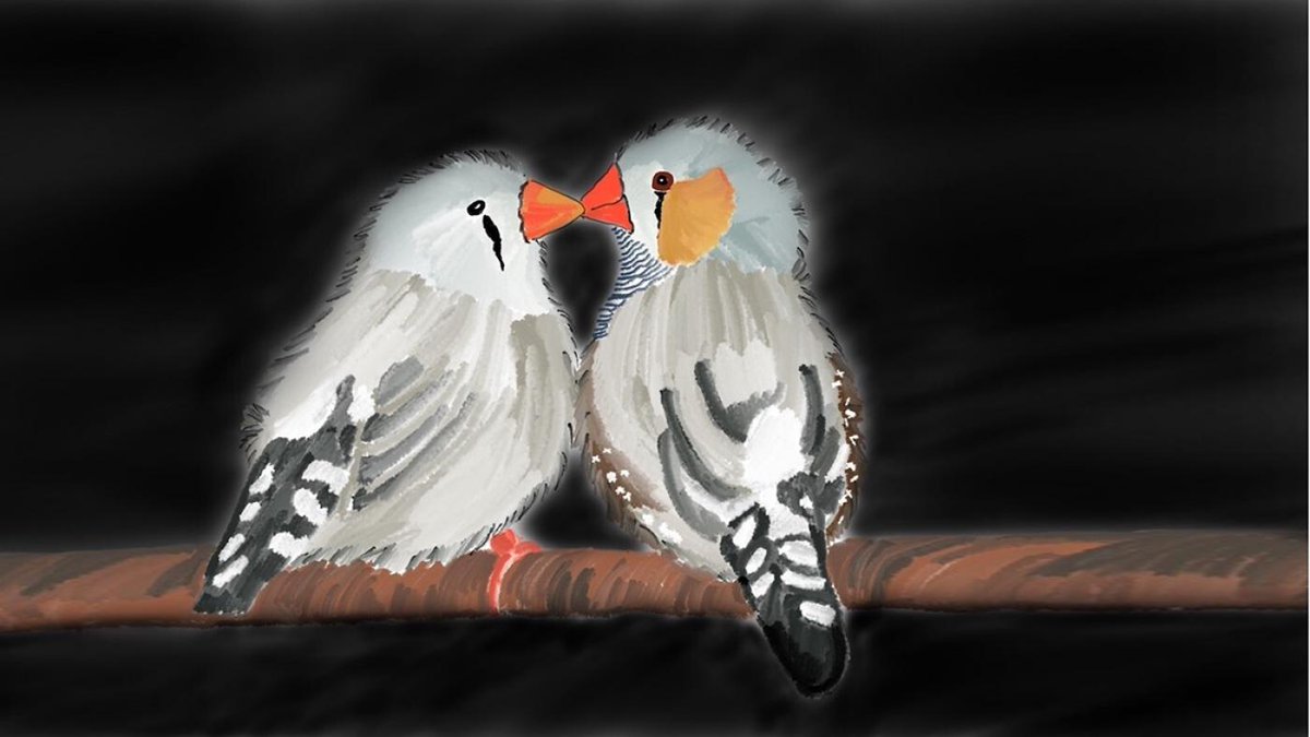 Columbia University's Zuckerman Institute (@zuckermanbrain) on Twitter photo What happens in a male bird’s brain when he hears a female responding to his song? You might say his brain retunes its priorities. Learn more in a new <a href="/Nature/">nature</a> article by <a href="/ZuckermanBrain/">Columbia University's Zuckerman Institute</a>’s <a href="/VikramGadagkar/">Vikram Gadagkar</a> and colleagues <a href="/AndreaRoeser/">AndreaRoeser</a> <a href="/jesseGlab/">Jesse Goldberg</a>
zuckermaninstitute.columbia.edu/how-audience-c… What happens in a male bird’s brain when he hears a female responding to his song? You might say his brain retunes its priorities. Learn more in a new <a href="/Nature/">nature</a> article by <a href="/ZuckermanBrain/">Columbia University's Zuckerman Institute</a>’s <a href="/VikramGadagkar/">Vikram Gadagkar</a> and colleagues <a href="/AndreaRoeser/">AndreaRoeser</a> <a href="/jesseGlab/">Jesse Goldberg</a>
zuckermaninstitute.columbia.edu/how-audience-c…