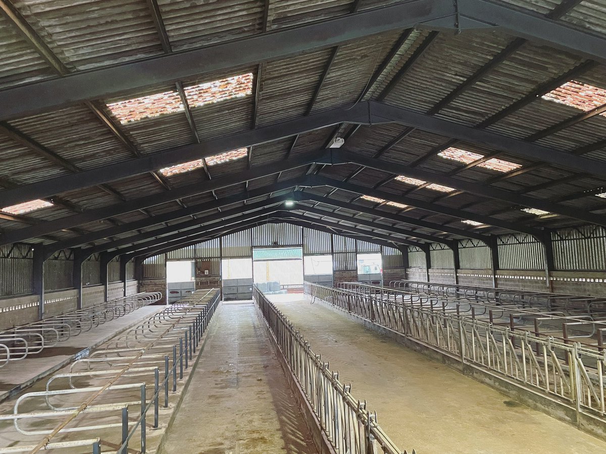 Stuart Graham tweet media