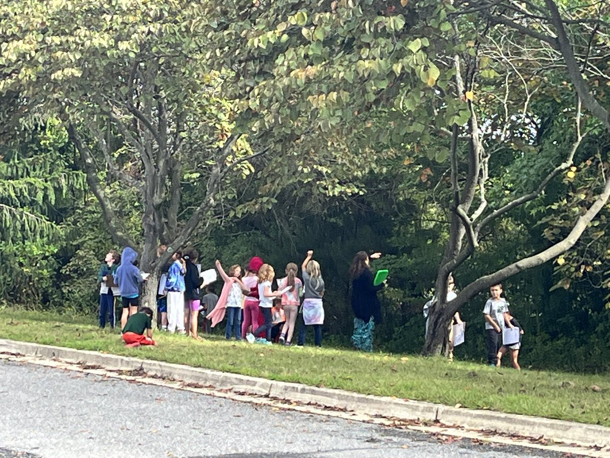 DES2ndGrade's tweet photo. Our favorite Tremendous Trees lesson… Tree observations! We are wildlife watchers! 🌳🌲🍃🌱🍁🍂 https://t.co/H4XLVtr79M