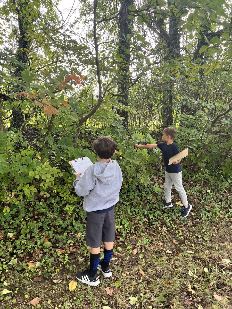 Our favorite Tremendous Trees lesson… Tree observations! We are wildlife watchers! 🌳🌲🍃🌱🍁🍂