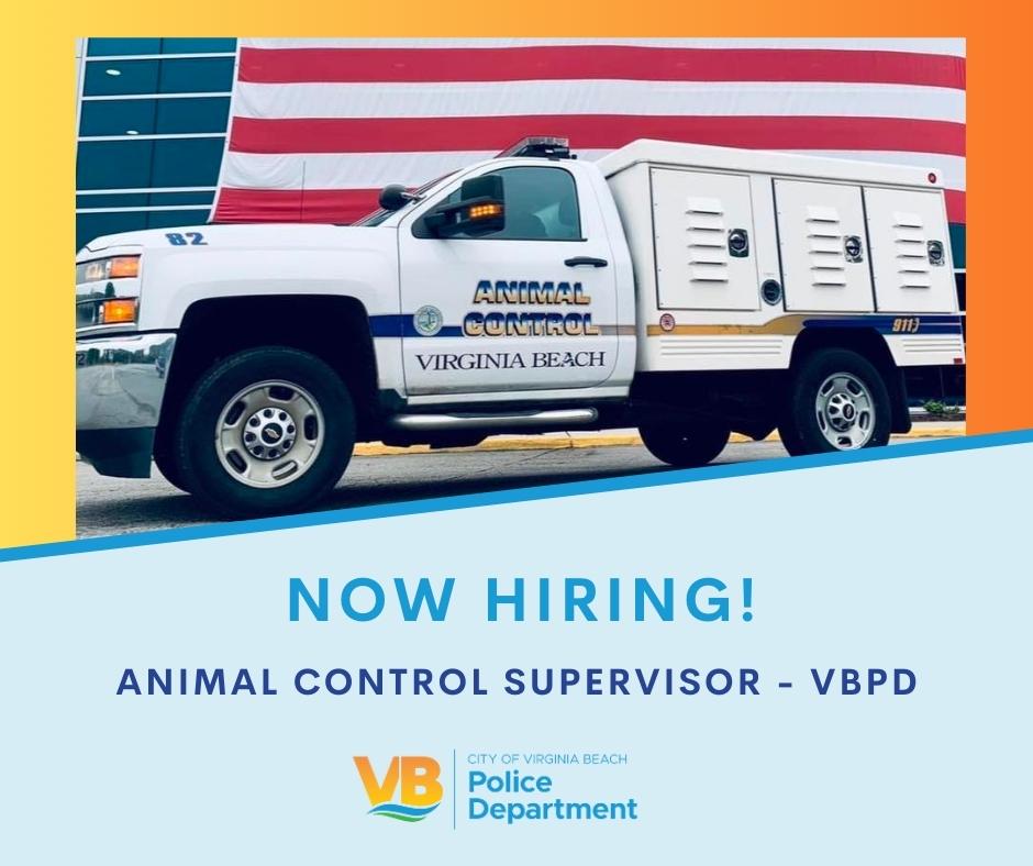 We are actively recruiting for a Full Time Animal Control Supervisor. Interested candidates should apply by October 9, 2023.

phg.tbe.taleo.net/phg02/ats/care…

#VirginiaBeach #VBJobs #AnimalServices #AnimalControl #VB #GovJobs #PublicServiceJobs #NowHiring #VBPD