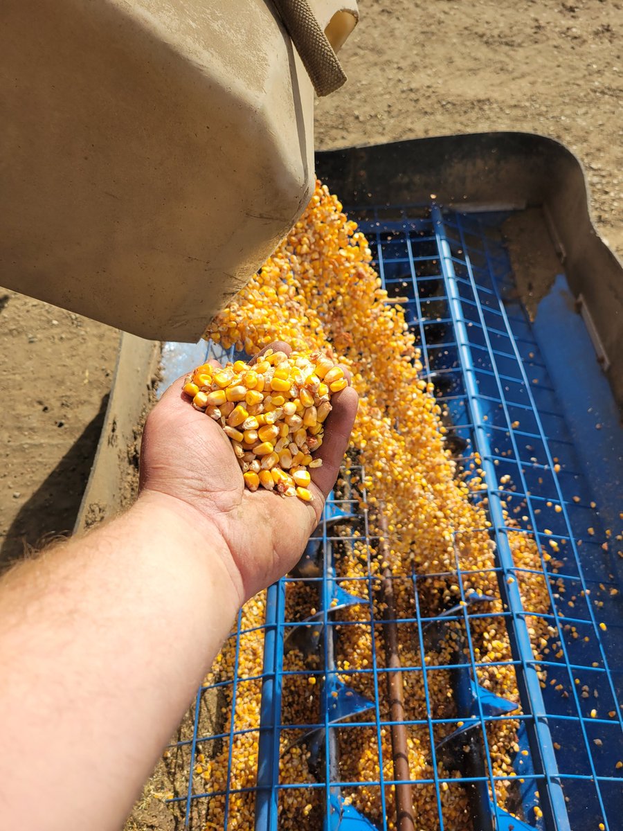 Jake Vermeer tweet media