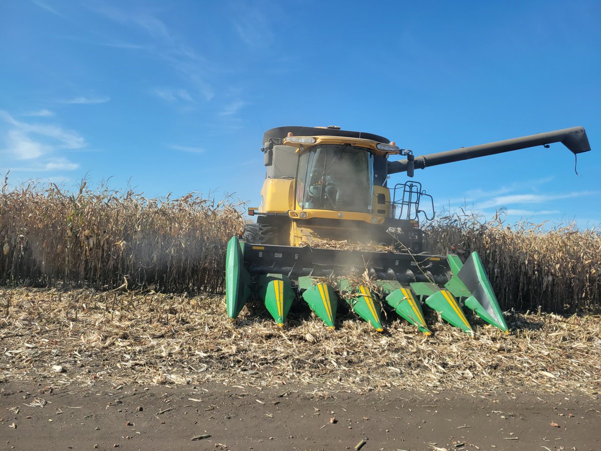 Jake Vermeer tweet media