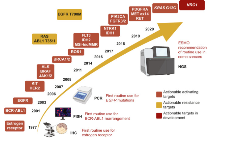 #PrecisionMedicine in oncology is evolving towards high-throughput genomics use. This approach may provide vast molecular information in tumors, revealing an average of 4-5 drivers per tumor. Actionable alterations should be prioritized by using validated rankings for treatment