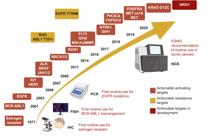 #PrecisionMedicine in oncology is evolving towards high-throughput genomics use. This approach may provide vast molecular information in tumors, revealing an average of 4-5 drivers per tumor. Actionable alterations should be prioritized by using validated rankings for treatment…