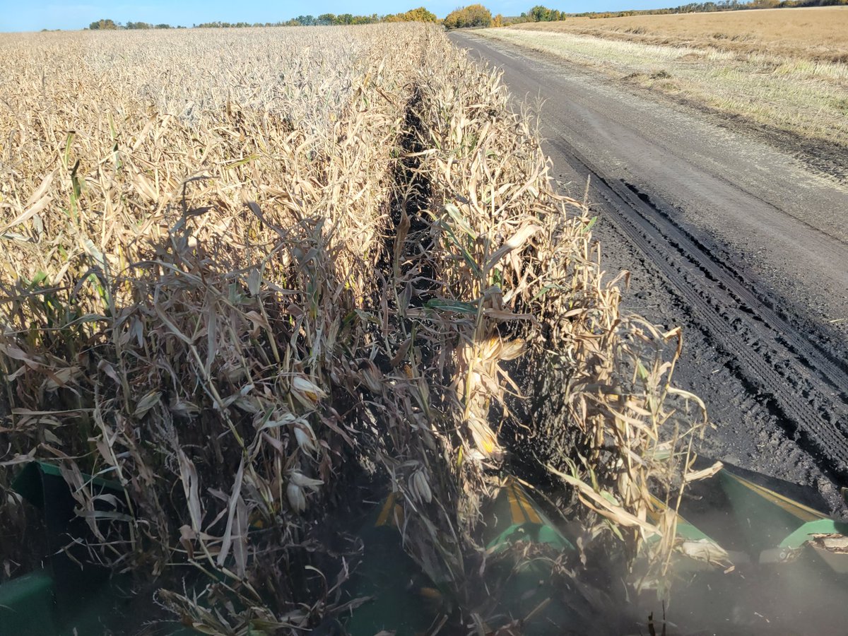 Jake Vermeer tweet media