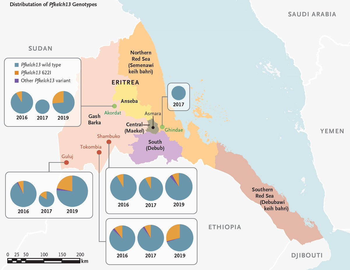 NEJM's tweet photo. This study shows the emergence and spread of artemisinin resistance, along with the loss of hrp2 required for malaria rapid diagnostic tests, in P. falciparum in Eritrea.  

👉 Read the full study results: https://t.co/NUby1LcAeA https://t.co/MOJNIEhrVB