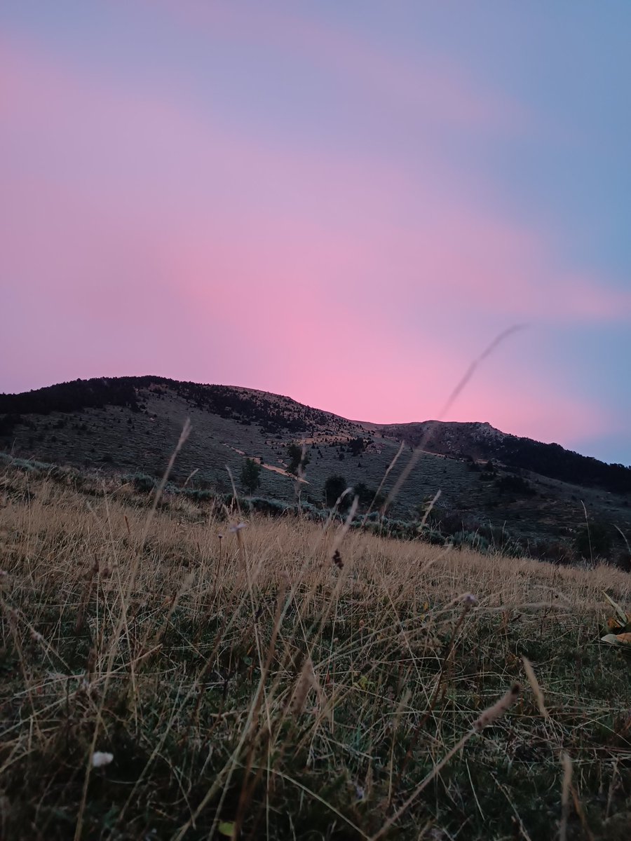JoaanPeiro's tweet image. El vespre a la Vall de Boí ⛰️💫