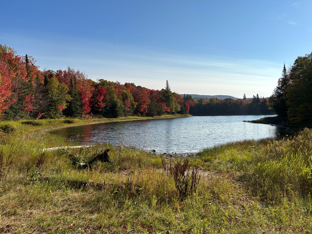 Our #fallcolours are peaking and the forecast for this weekend is looking beautiful, so why not squeeze in another camping trip this season!🍁

The backcountry campsites at #CrescentLake are a lovely option for a laid back autumn adventure.

reservations.ontarioparks.com🍂 (1/2)