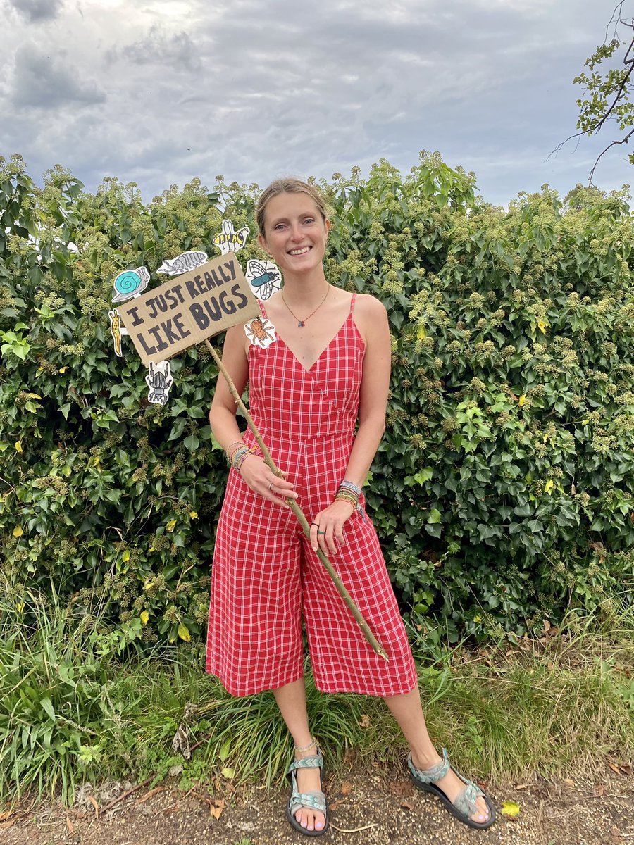 Lucy Lapwing tweet media