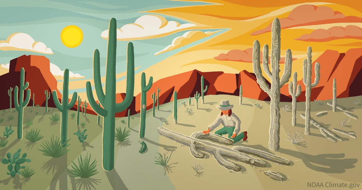 Of all the potential impacts of global warming, increases in extreme heat are the most certain. Yet it's the one extreme U.S. communities have paid the least attention to so far. Ladd Keith hopes to change that. climate.gov/news-features/…