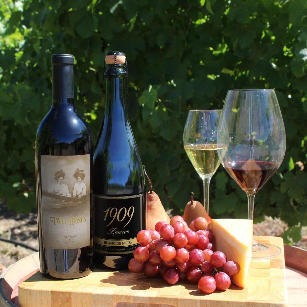 multacordanapa's tweet image. Sipping on Two Roses or indulging with our 1909 Reserve? Join our 1909 Wine Club and experience premium Napa Valley wines all-year round. Find more info at multacordanapa.com 

#MultaCordaNapaValley #AlphaEpsilonPhi #AEPhi