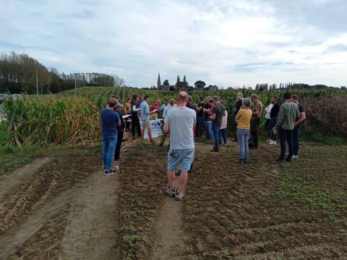 #FABulousfarmers farmwalk near Brussels looking ateffect of flower strips on insect predators good evidence of reduced insect pests from crop monitoring in cereals and strawberries @SoilAssociation