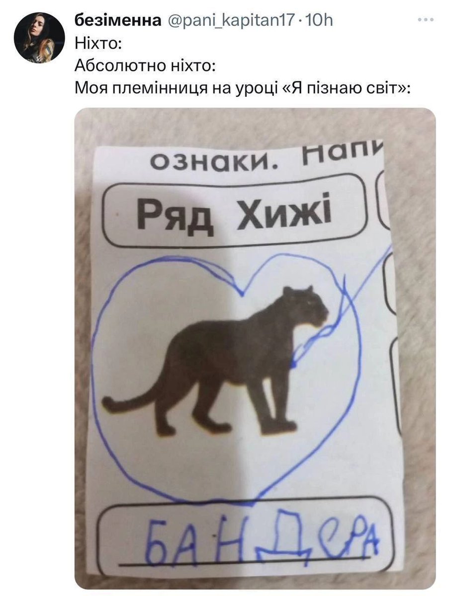 OdnaBaba's tweet photo. Пантера, блдб, пантера! https://t.co/g1th9yMNhM